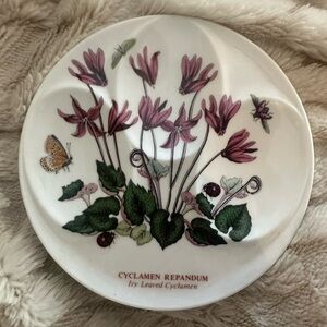 Portmeir on Cyclamen Repanfum Ivy Leaved Cyclamen Spoon Rest